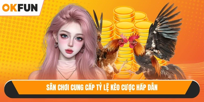 Sân chơi cung cấp tỷ lệ kèo cược hấp dẫn