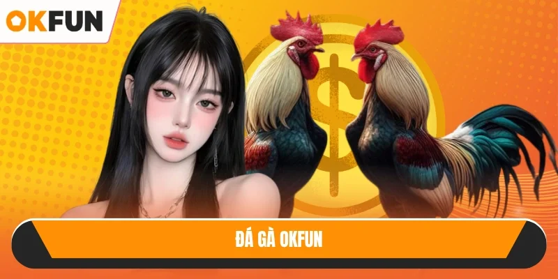 Đá gà OKFUN